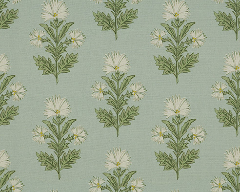 31161 - MINT 31161 - MINT